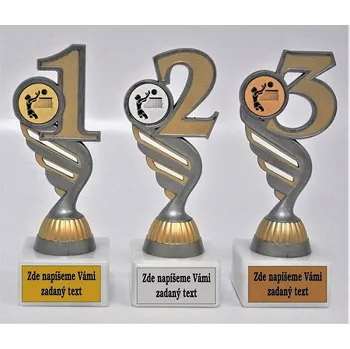 Volejbal žena trofeje P401-3.22-830-20