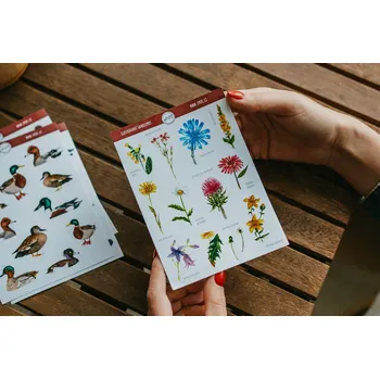 Samolepící dekorace ePipí Arch samolepek Luční květy A6 11 samolepek