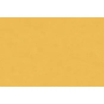 pvc podlaha PVC podlaha ALTRO ORCHESTRA Reggae CH2801U, Šíře role Šíře role 2m