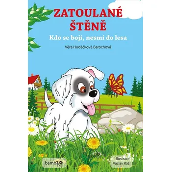 Kniha Zatoulané štěně - Věra Hudáčková Barochová, Václav Ráž (E-Kniha)