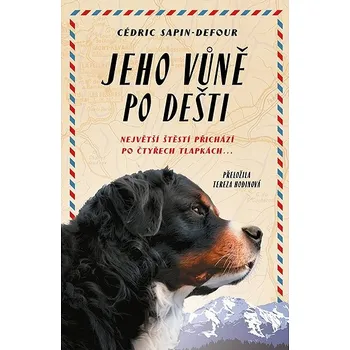 Kniha Jeho vůně po dešti Ekniha