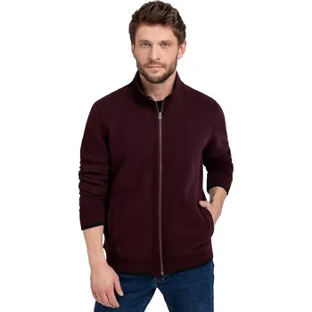 Pánská mikina Pánská mikina se zipem VOLCANO-B-LED-403-BURGUNDY Červená XXL