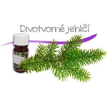 Vůně do bytu Vonnekameny.cz Divotvorné jehličí 10 ml