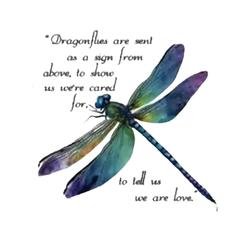 Nášivka Nažehlovací obrázek - vážka s citátem IV (20,0 x 19,0 cm)