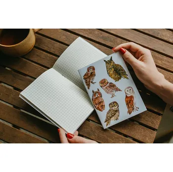 Sešit ePiPí Sešit A6 - Sovy Listy sešitu: Čtverečkovaný