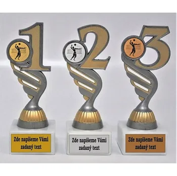 Volejbal muž trofeje P401-3.22-830-19 Zde napište text na štítky a součet zadejte do košíku. Více informací viz.POPIS v dolní části.