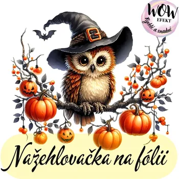 Nažehlovačky na fólii Nažehlovačka na fólii, HALLOWEEN SOVA, 1 kus Zvolte VELIKOST motivu ZDE:: Menší