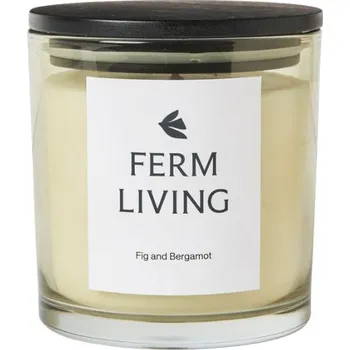 Svíčka Vonná svíčka Vitto 10 cm "Light Celedon" ferm LIVING