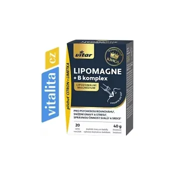 Vitar Lipomagne +B komplex 20 x 2 g