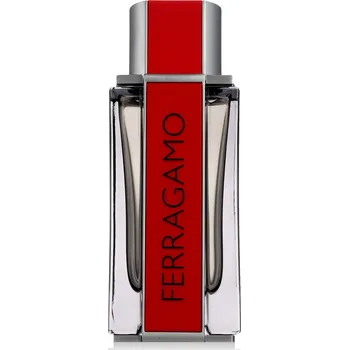 Pánský parfém Ferragamo Ferragamo Red Leather M EDP 100 ml