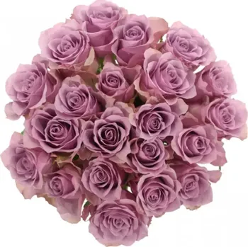 umělá květina Kytice 21 fialových růží NIGHTINGALE 70cm