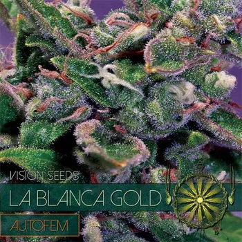 Semeno Vision Seeds - La Blanca Gold Auto 5 ks