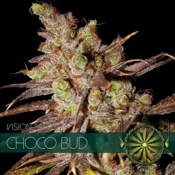 Semeno Vision Seeds - Choco Bud 5 ks