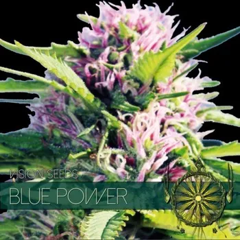 Semeno Vision Seeds - Blue Power 3 ks