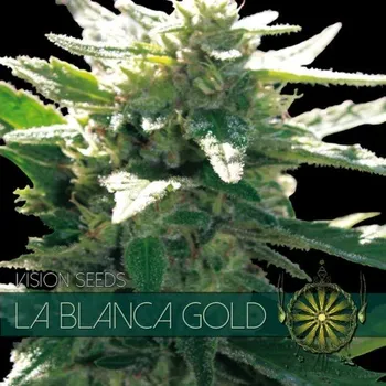 Semeno Vision Seeds - La Blanca Gold 3 ks