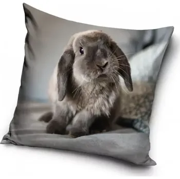 Dekorativní polštářek Carbotex Dekorační polštářek Zakrslý králíček 40 x 40 cm