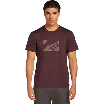 Pánské tričko Pánské merino tričko s krátkým rukávem ICEBREAKER Mens 150 Tech Lite SS Tee Wild Pack, Java velikost: XL