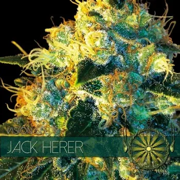 Semeno Vision Seeds - Jack Herer 3 ks