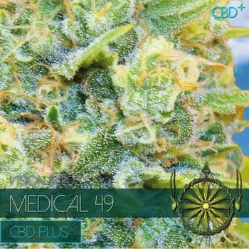 Semeno Vision Seeds - Medical 49 CBD+ 5 ks