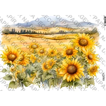 Umělecký papír Rýžový a soft papír na decoupage - Slunečnice, podzim - KB2193 Materiál: Soft, Rozměr: A4