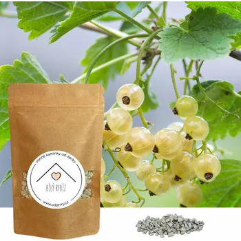 Vonný olej Od Janky Vonné kamínky Bílý rybíz 60 g