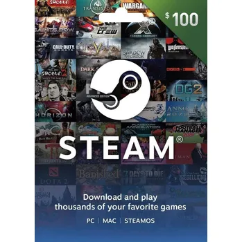 Počítačová hra Steam Wallet PC digitální verze