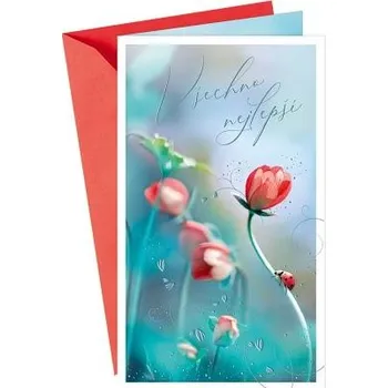 ARGUS Přání k narozeninám nebo k svátku 55-609c