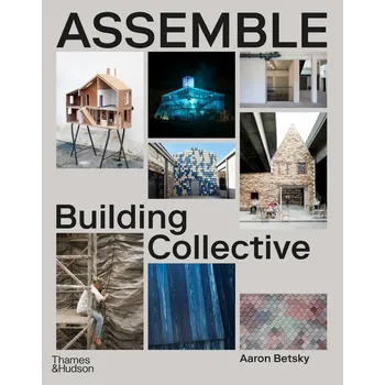 Populárně naučná literatura pro dospělé Assemble: Building Collective