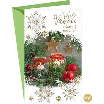 ARGUS Vánoční přání s kapsou na peníze 11-6554c