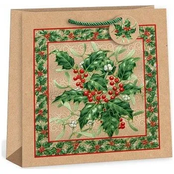 Dárková taška ARGUS Dárková papírová taška T9N (38 x 38 cm) 08850013