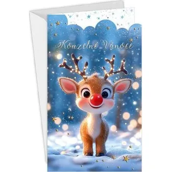 ARGUS Vánoční přání 11-6572c