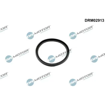 Turbodmychadlo Tesnici krouzek, hadice plniciho vzduchu Dr.Motor Automotive DRM02913