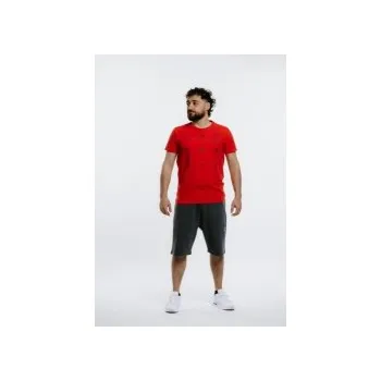 Pánské tričko AUTHORITY AUTHORITY TS-KILTO grey, Velikost M