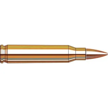 Sportovní střelba Hornady Náboj kulový Hornady, Custom Training, .223 Rem, 55GR, FMJ BT