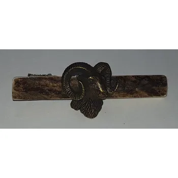 Sportovní střelba Zubíček Muflon (parohová spona)