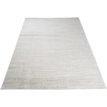 Koberec Moderní koberec Ostrava - světle šedý Rozměr koberce: 160x220 cm