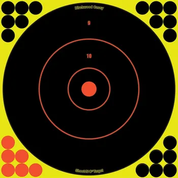 Příslušenství pro šipky Birchwood Casey SHOOT•N•C BULL’S-EYE TARGET 12", 5 ks