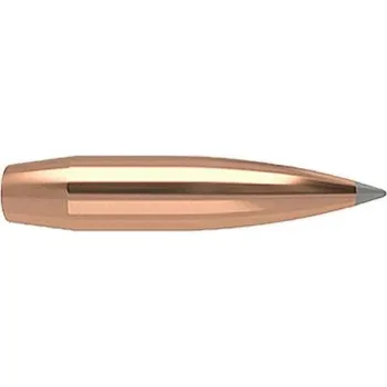 Příslušenství pro sportovní střelbu Nosler Střela Nosler, Accubond Long Range, .338", 265GR (17,1g), Accubond LR SP