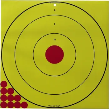 Sportovní střelba Birchwood Casey Long Range Bull's-Eye Target 17.75", 5 ks