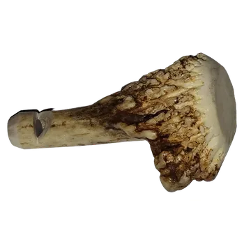 Výcviková píšťalka Píšťalka na psy z dančího parohu