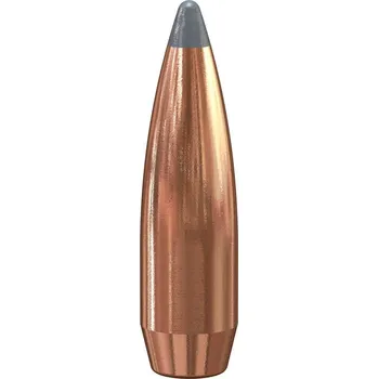 Sportovní střelba Speer Střela Speer, Boat-Tail, .30/.308", 165GR (10,69g), JSP BT