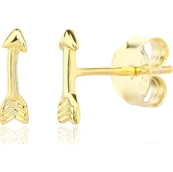 Náušnice Náušnice JVD SVLE3332XJ6GO00 stříbrné