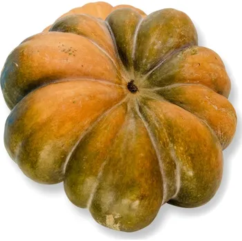 BIO muškátová dýně, min. 6 kg