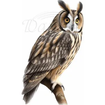 Textilní nažehlovací páska Dante Nažehlovačka Výr velký - 7 x 12 cm