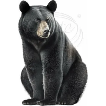 Textilní nažehlovací páska Dante Nažehlovačka Medvěd Baribal - 8 x 12 cm