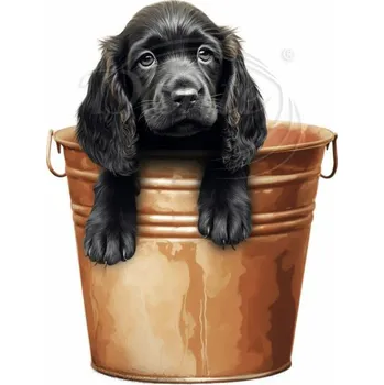 Textilní nažehlovací páska Dante Nažehlovačka Kokršpaněl štěně v kyblíku - 5 x 6 cm