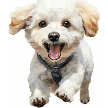 Textilní nažehlovací páska Dante Nažehlovačka Bišonek běžící - 5 x 6 cm