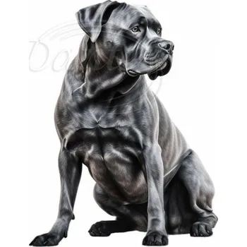 Textilní nažehlovací páska Dante Nažehlovačka Cane Corso - 12 x 11 cm