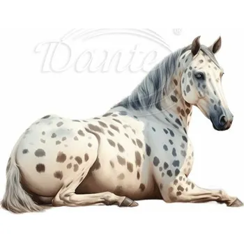 Textilní nažehlovací páska Dante Nažehlovačka Apaluský kůň ležící - 12 x 8 cm