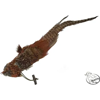 tréninková pomůcka pro psa Bracco Bažant Dummy s peřím zesílený s ocasem- váhy 250 g, 500 g, 1000 g Varianta: Bracco Bažant Dummy s peřím zesílený s ocasem 250 g